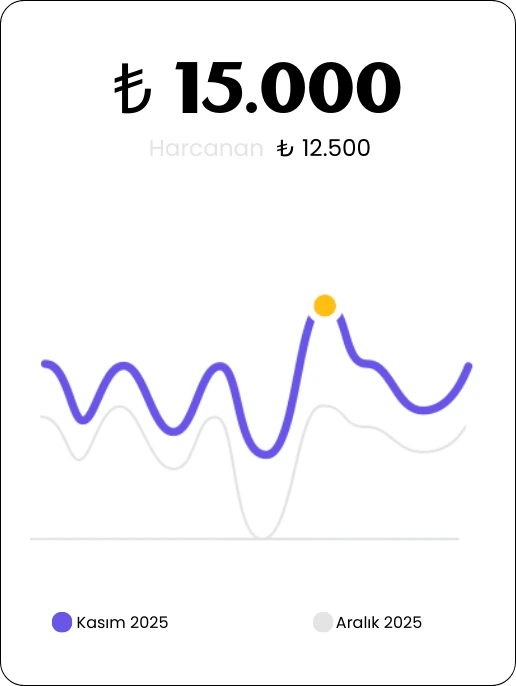 dijital reklam butcesi performans cizgi grafik